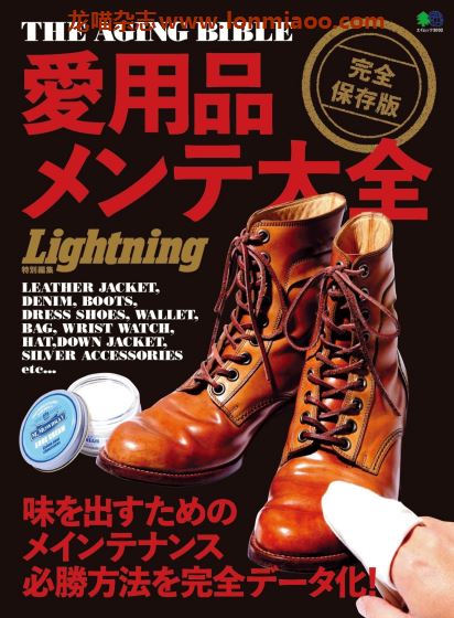 [日本版]Lightning 别册 3002男士杂志